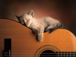 sleeping musician