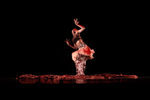 A dancer strikes a dramatic pose with arms raised on a dimly lit stage, wearing a vibrant costume of black, red, and beige, surrounded by flowing fabric that enhances the sense of motion and cultural expression.