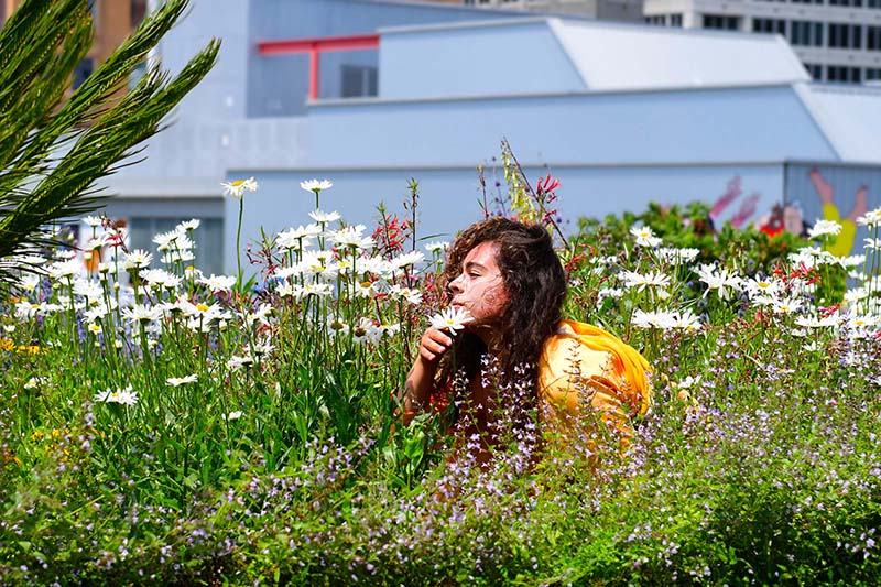 A dancer with long brown hair and wearing yellow crouches down in a field of flowers and lifts a white flower to their nose.