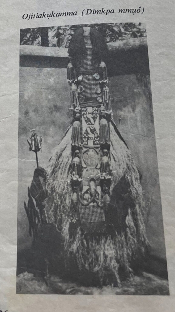 A black-and-white printed photograph shows an elaborately decorated vertical ceremonial figure or mask labeled “Ojitiakukamma (Dimpka mmuó),” with carved geometric patterns, attached ornaments, and water flowing down its surface against a plain background.