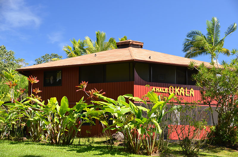 A red tropical house labeled “Ahale Okala” sits among lush green plants and palm trees under a bright blue sky.