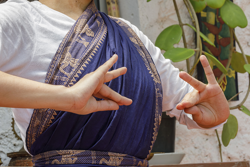 A close-up view shows a person in a blue patterned draped garment forming intricate hand gestures, with green plants and a textured wall softly blurred in the background.