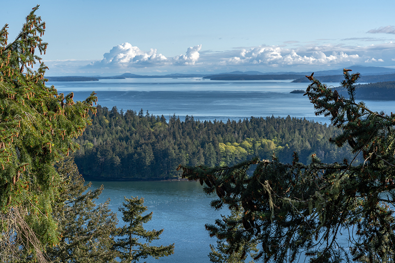 Copilot said: A panoramic coastal landscape shows evergreen trees overlooking calm blue waters and forested islands beneath a bright sky filled with large white clouds.