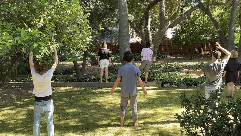 Six people stand spaced apart on a sunlit lawn beneath mature trees, appearing to participate in a gentle outdoor movement or mindfulness exercise in a leafy garden setting.