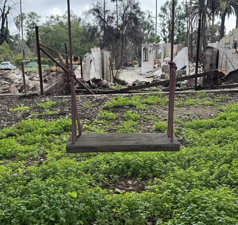 A solitary wooden swing hangs untouched above fresh green groundcover, framed by the charred remains of a destroyed house.