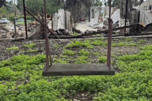 A solitary wooden swing hangs untouched above fresh green groundcover, framed by the charred remains of a destroyed house.
